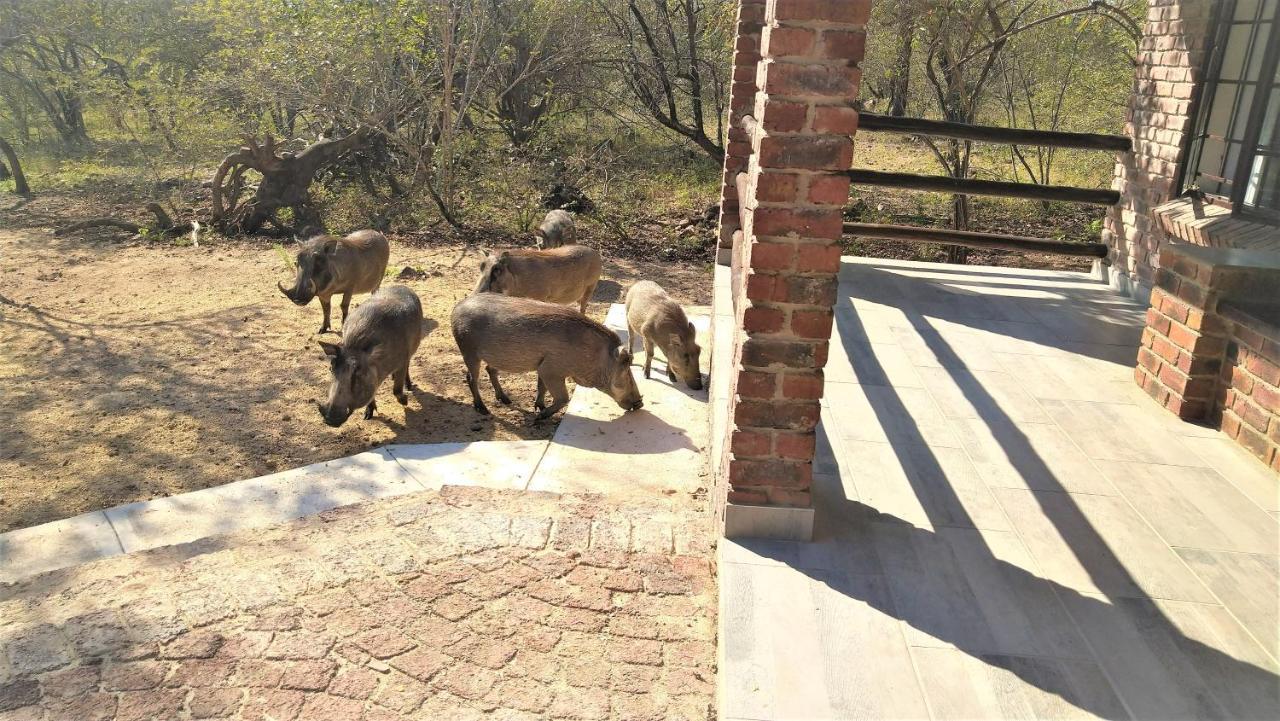 Villa De Leeu, Perfect For Two Marloth Park Exterior photo