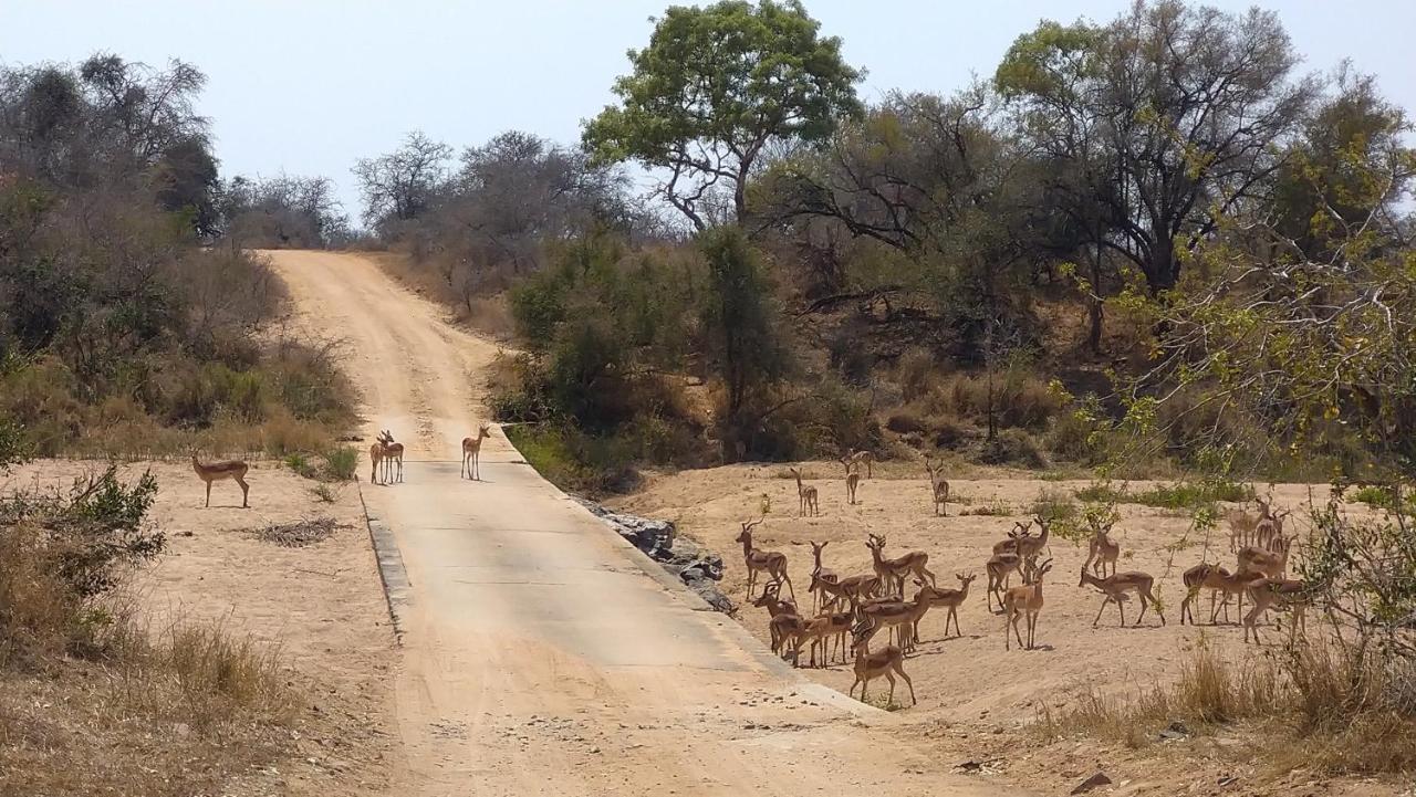 Villa De Leeu, Perfect For Two Marloth Park Exterior photo