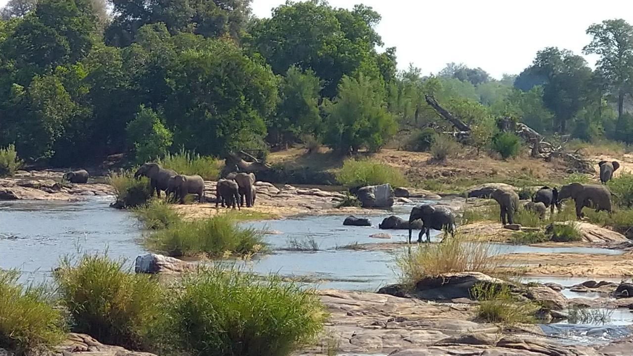 Villa De Leeu, Perfect For Two Marloth Park Exterior photo