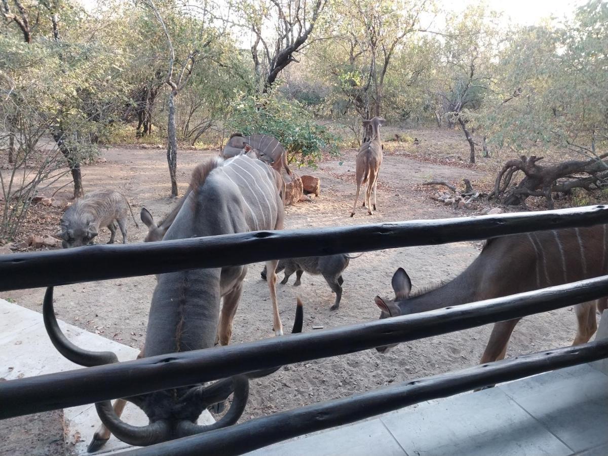 Villa De Leeu, Perfect For Two Marloth Park Exterior photo