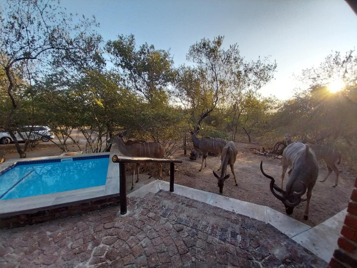 Villa De Leeu, Perfect For Two Marloth Park Exterior photo