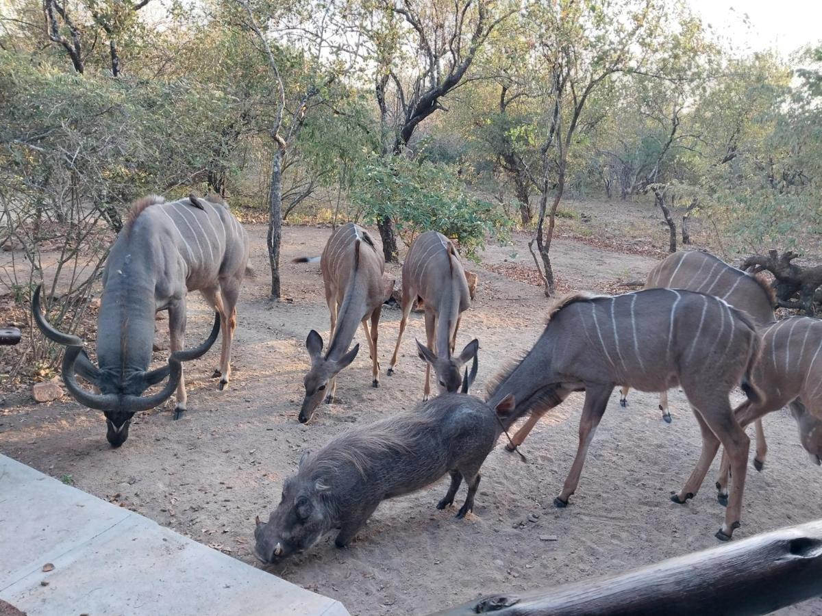 Villa De Leeu, Perfect For Two Marloth Park Exterior photo