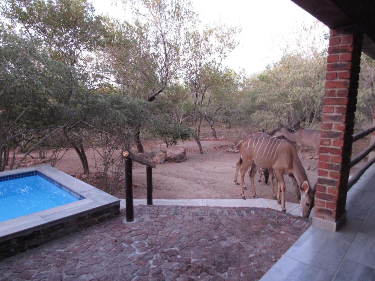 Villa De Leeu, Perfect For Two Marloth Park Exterior photo