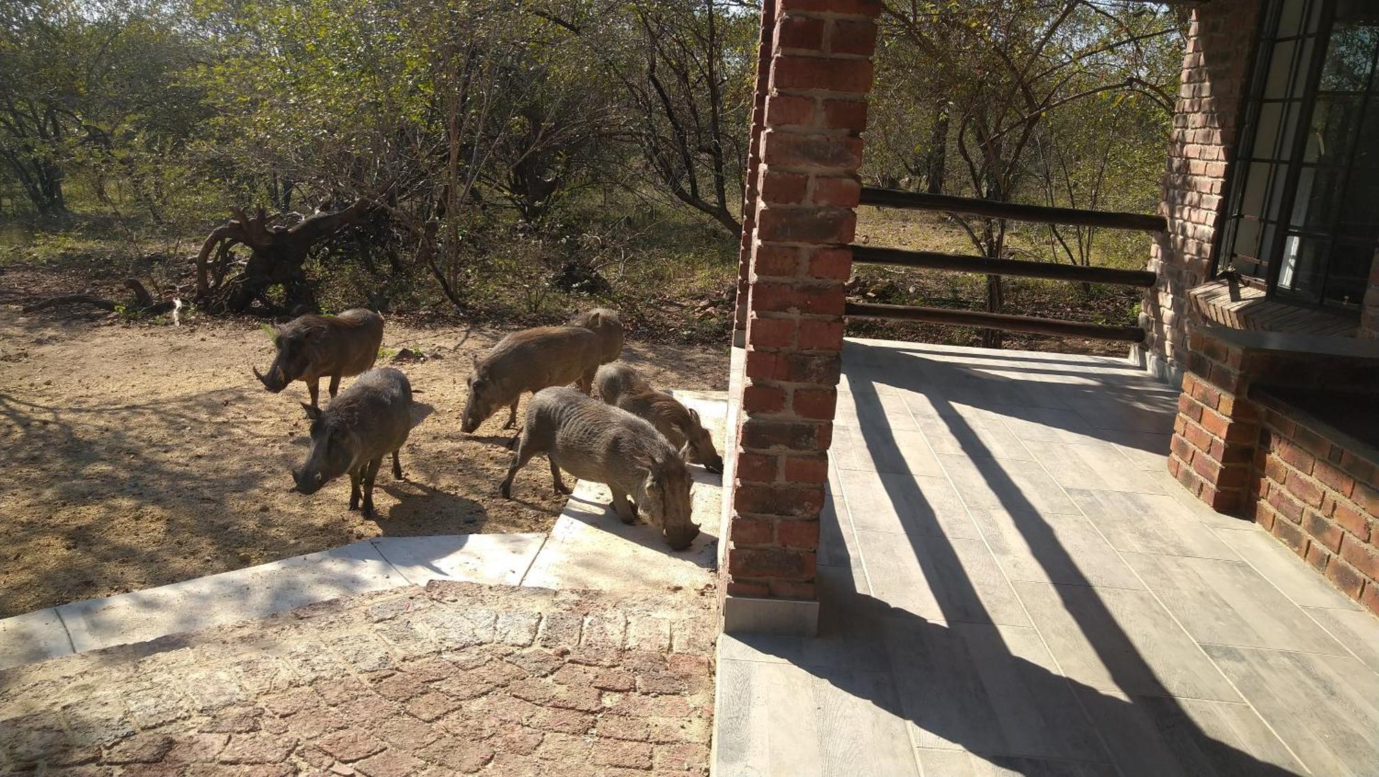 Villa De Leeu, Perfect For Two Marloth Park Exterior photo