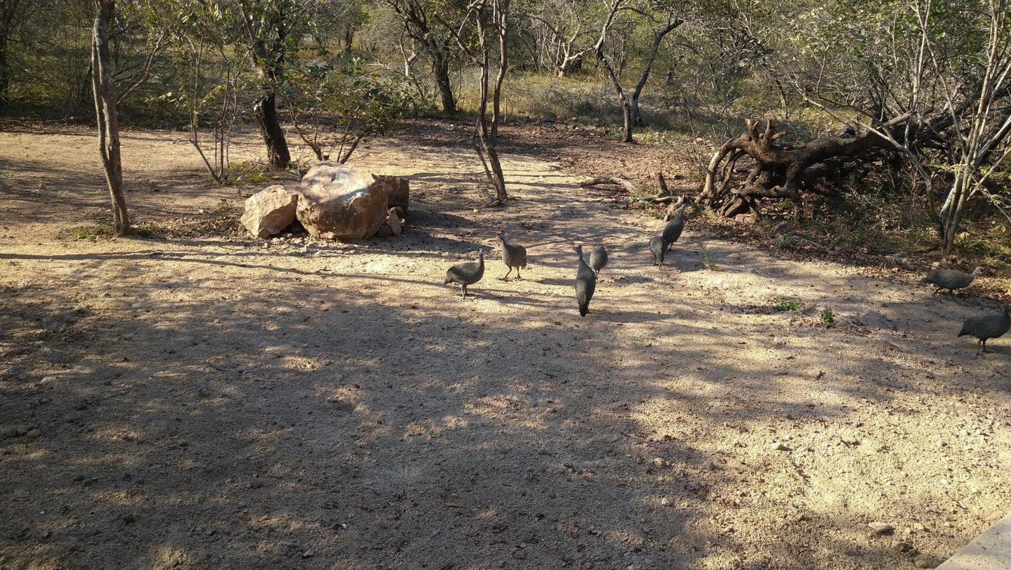 Villa De Leeu, Perfect For Two Marloth Park Exterior photo